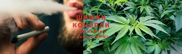 apvp Горняк