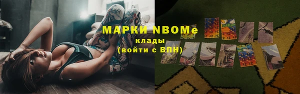 apvp Горняк