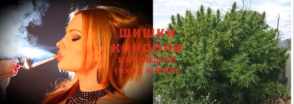 ALPHA PVP Горно-Алтайск