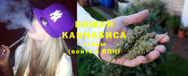 apvp Горняк